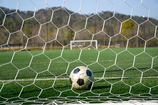 整体实力更 整体实力更