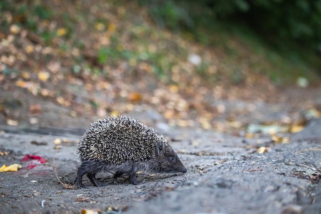 的激烈碰撞 的激烈碰撞