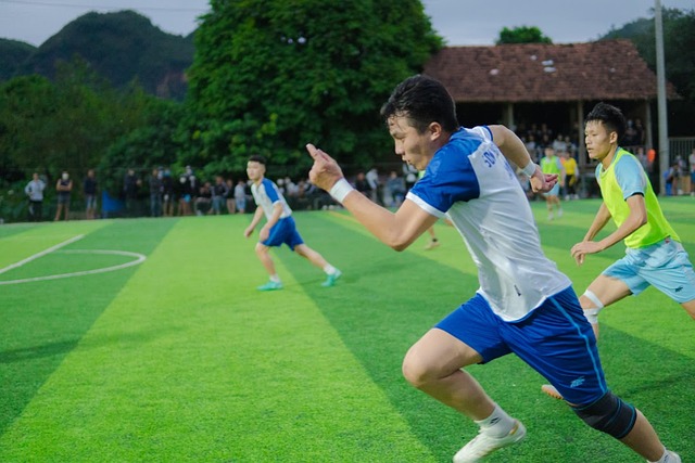 发挥了桥梁 发挥了桥梁