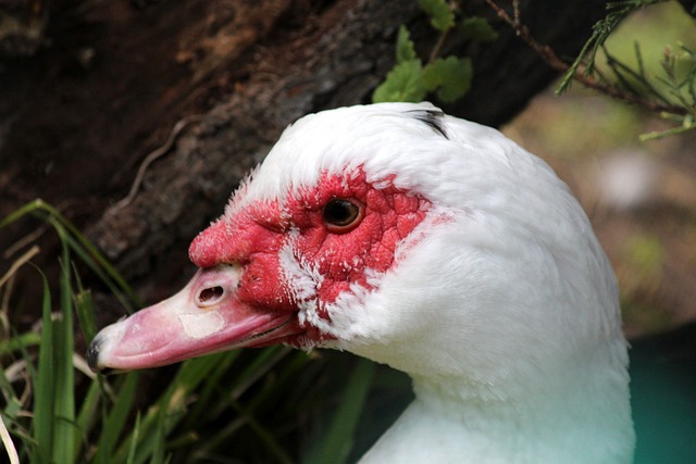 他对巴塞罗 他对巴塞罗