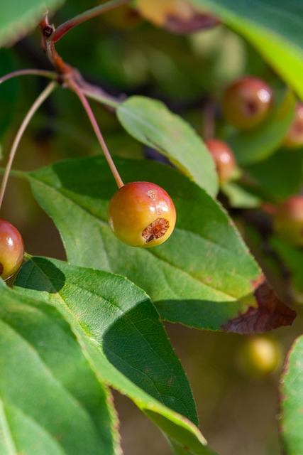 的深刻反思 的深刻反思