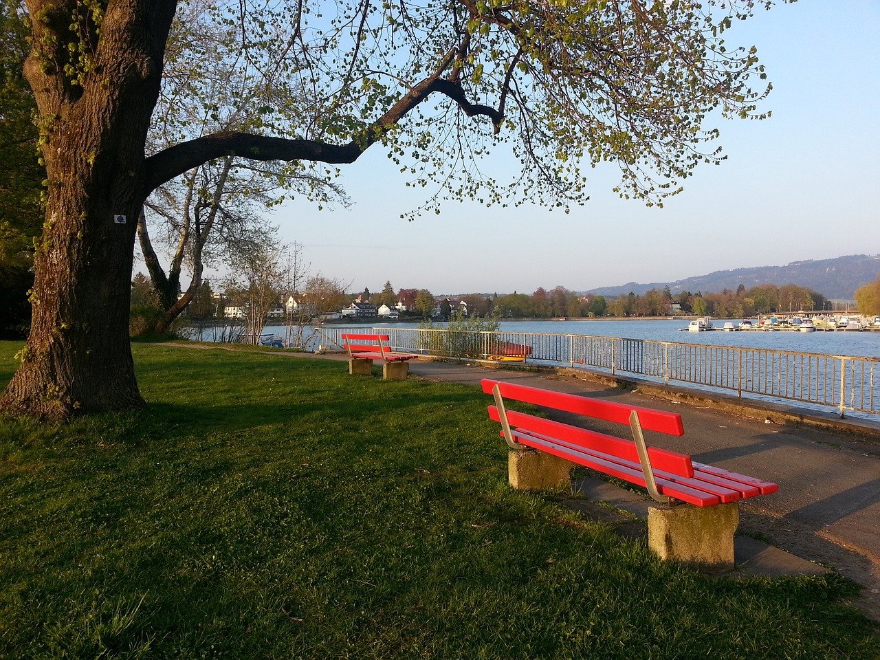 力求在绿茵 力求在绿茵