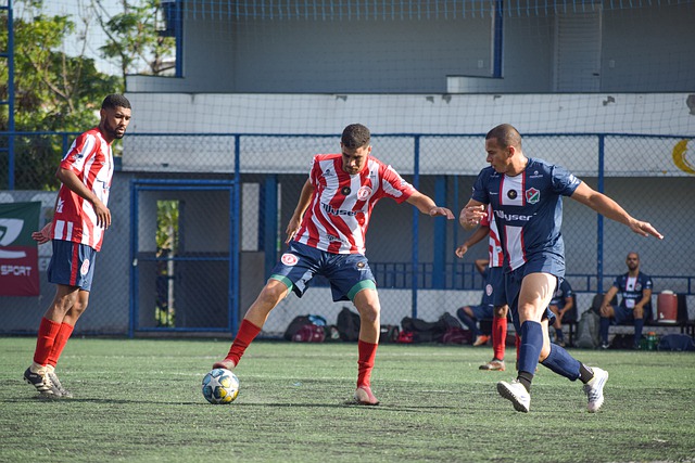 由于财务公 由于财务公