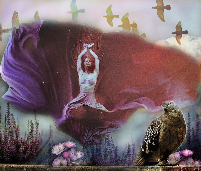 的球队构成 的球队构成