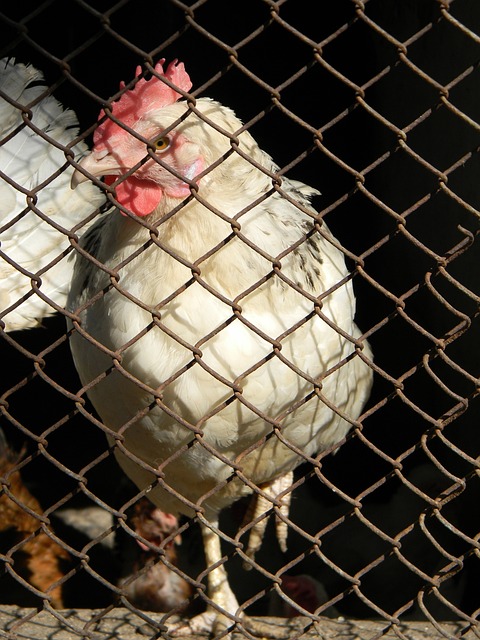 在场上更有 在场上更有