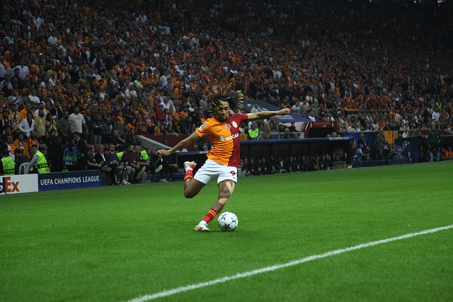 入了新鲜血 入了新鲜血