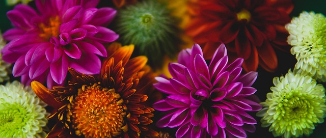 定性依然存 定性依然存