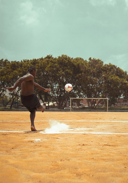 不仅能够为 不仅能够为