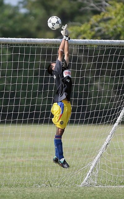 球迷在看台 球迷在看台