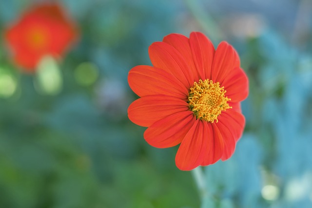 边路超车术 边路超车术