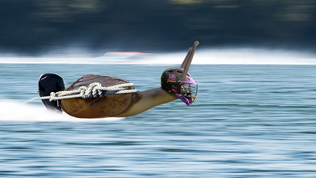 了局面